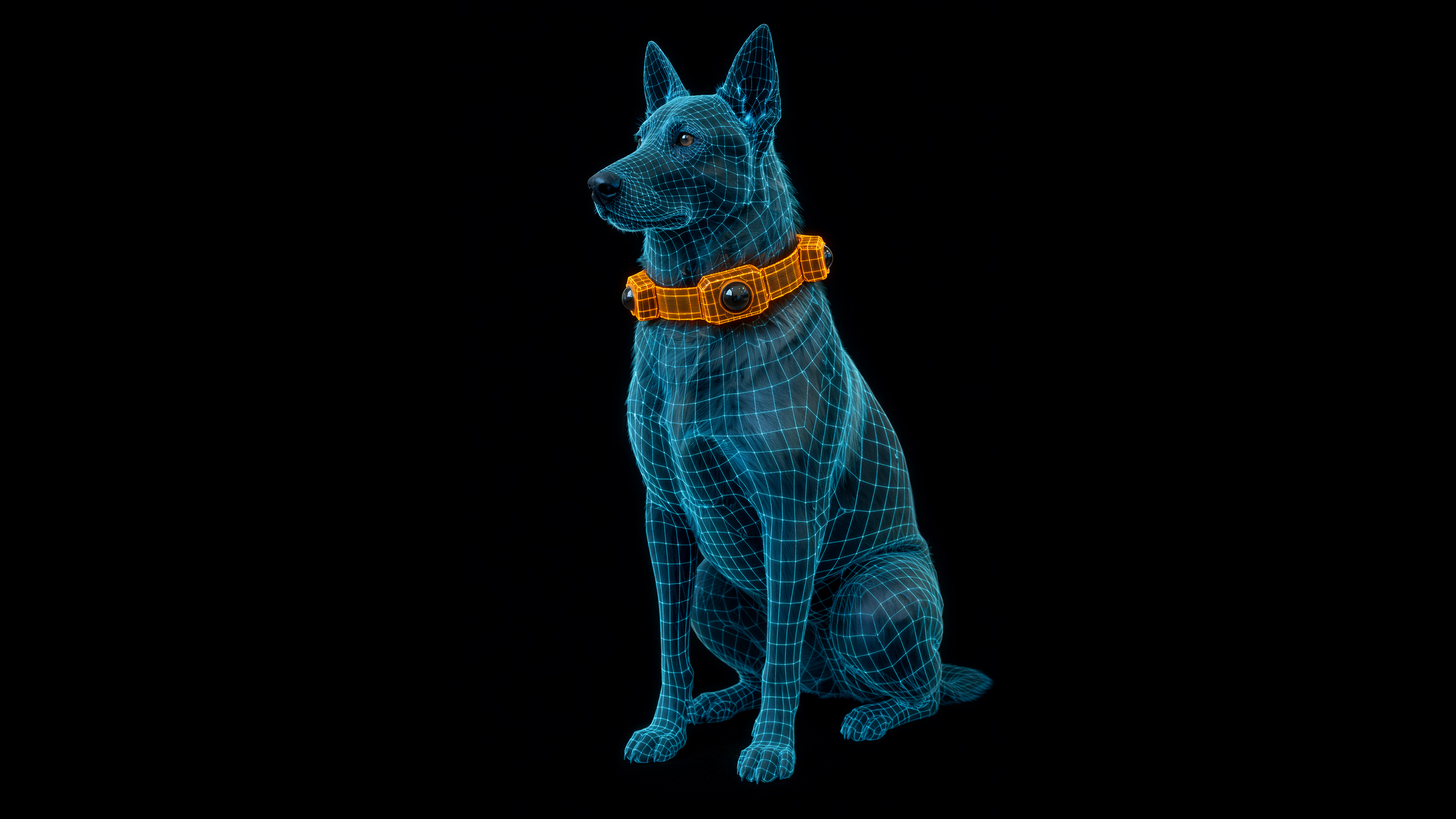 5 Health Metrics Every Dog Owner Should Track